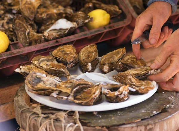 Abertura de ostras — Fotografia de Stock