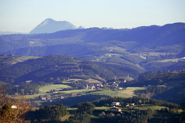 Valley at Bizkaia — Stock Photo, Image