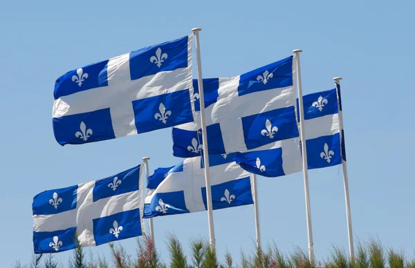 Quebec flagi — Zdjęcie stockowe