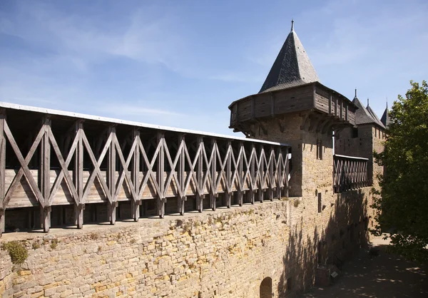 Jabones y boobleCarcassonne duvar — Stok fotoğraf