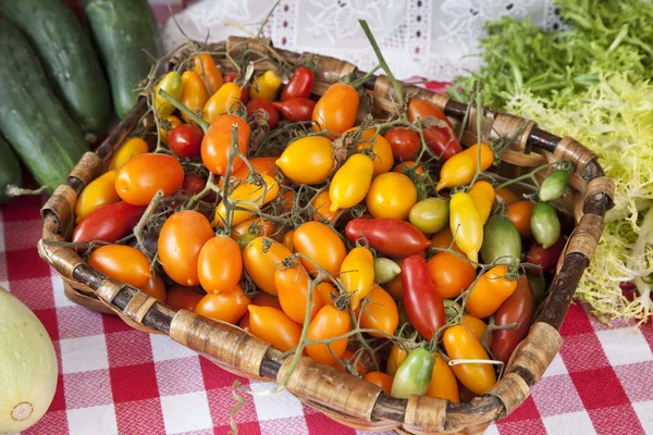 stock image Little tomatoes