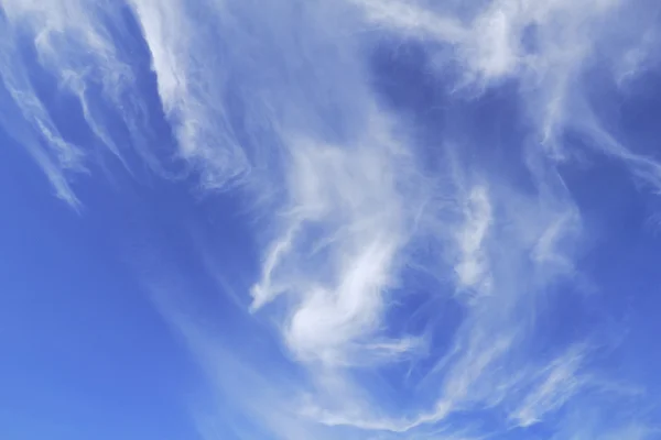 Geyik mavi gökyüzü ve bulutlar — Stok fotoğraf