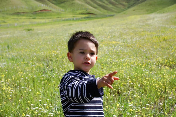Young boy in the field — Stock Photo, Image