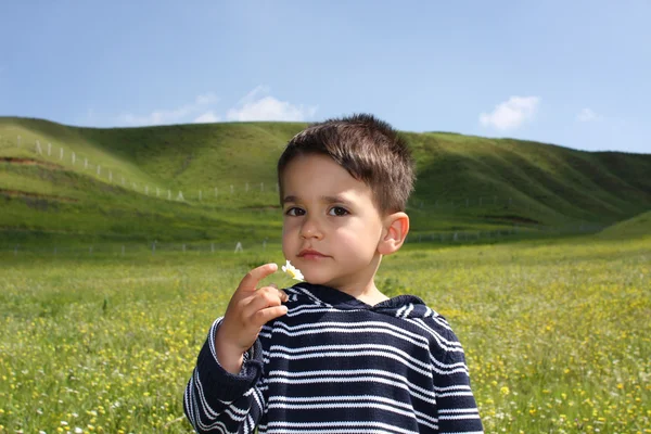 Niño con una flor — Foto de Stock