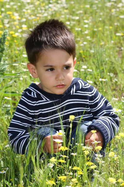 Criança masculina em um campo de flores — Fotografia de Stock
