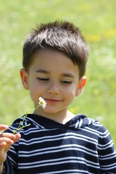 Retrato de un niño varón con una margarita — Foto de Stock