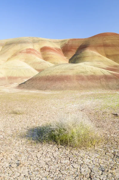Målade hills, john dag fossil beds nationalmonument, oregon — Stockfoto