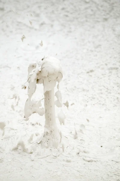 stock image Erupting Mud Pot, Yellowstone National Park