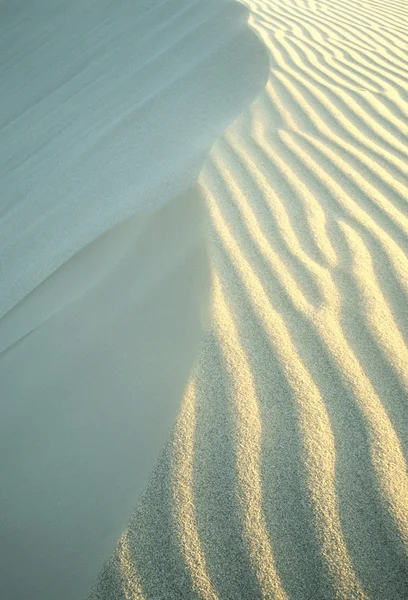 Ringar på sanddyn — Stockfoto