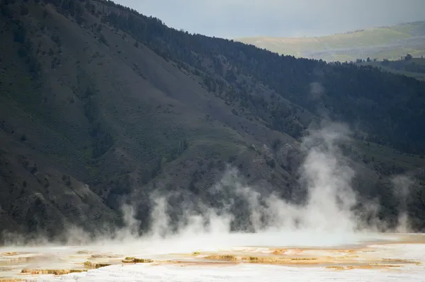 Mammoth Hot Springs, Parque Nacional de Yellowstone Fotos De Bancos De Imagens
