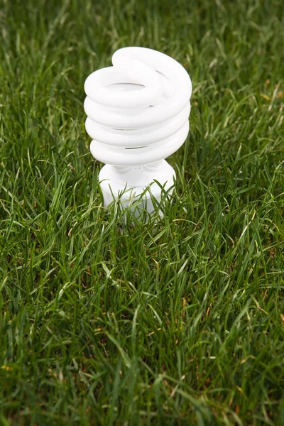 Energeticky úsporná žárovka — Stock fotografie