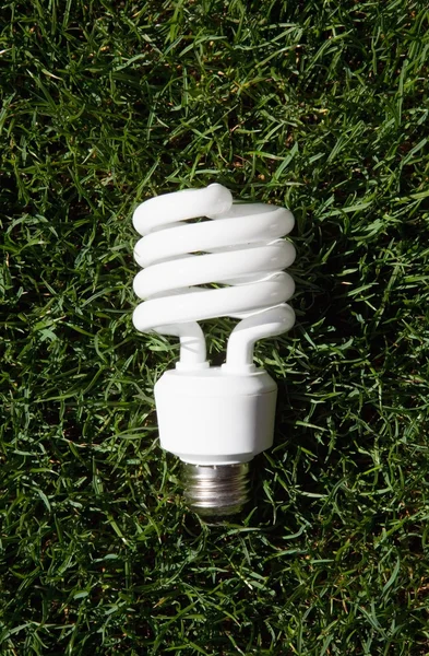 Ampoule à économie d'énergie — Photo