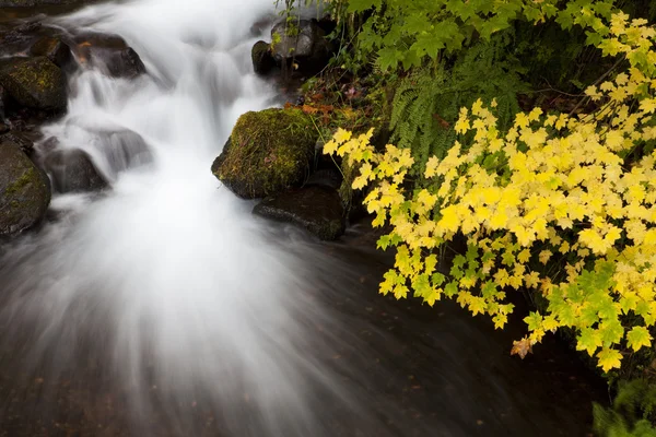 Осенний водопад, фотографии природы — стоковое фото