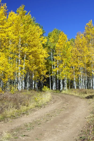 Aspens Güz