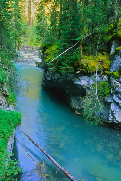 Glaciale Canadese river — Stockfoto