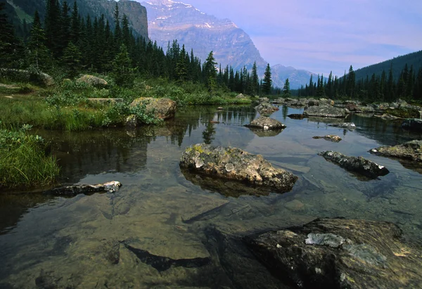 Wilderness Mountain Lake Scenic — Stock Photo, Image