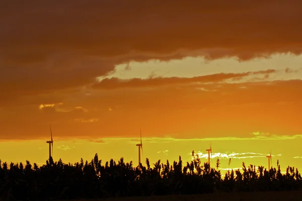 Gün batımı, Rüzgar türbinleri — Stok fotoğraf