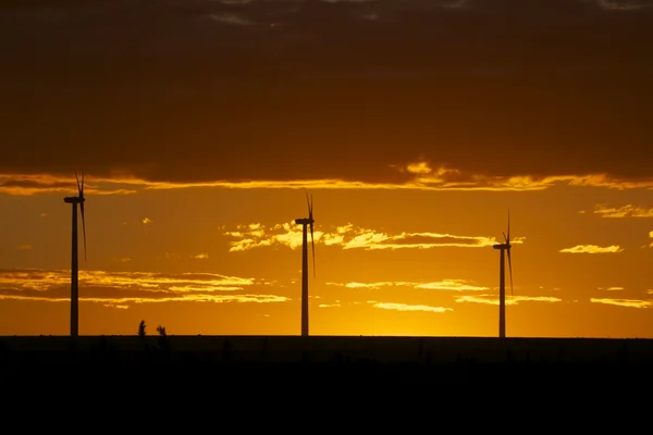 Gün batımı, Rüzgar türbinleri — Stok fotoğraf