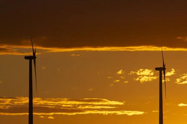 Les éoliennes au coucher du soleil — Photo