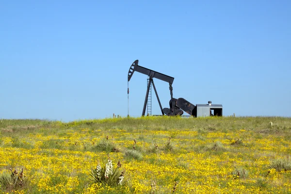 Jumpjack de aceite en la pradera — Foto de Stock