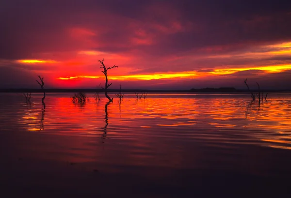 Lake in Sunset — Stock Photo, Image