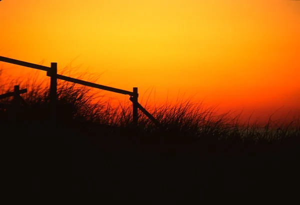 草和围栏中日落 — 图库照片