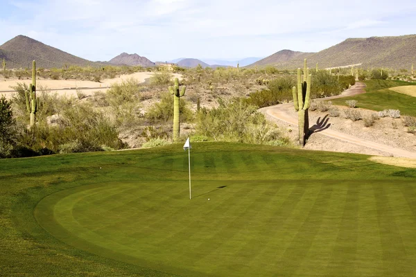 Escénica Arizona Golf Hole — Foto de Stock
