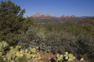 Kırmızı kaya oluşumları sedona arizona