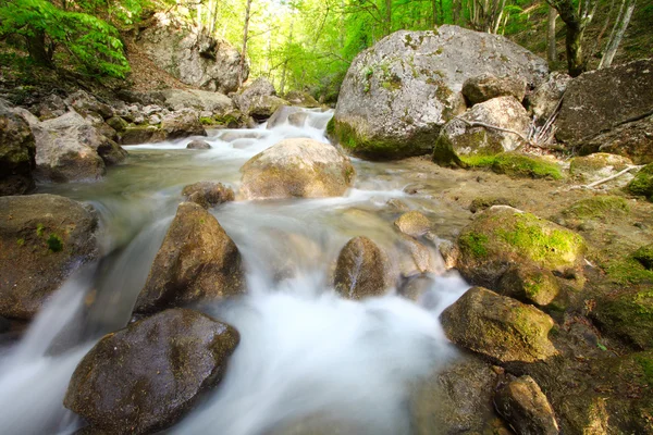 The mountain river in gorge with a spring — Stock Photo, Image