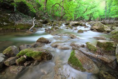 loş su ile bahar dağ Nehri