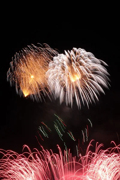 Tűzijáték virágzik az éjszakai égbolt — Stock Fotó