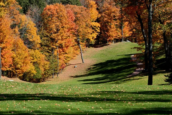 Golf Sahası fairway Güz