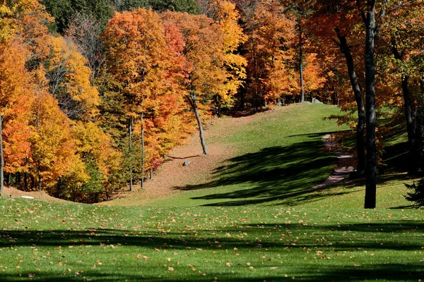 Golfplatz Fairway im Herbst Stockbild