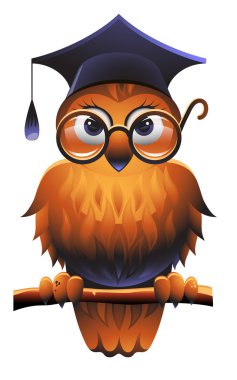 Wise Owl clipart