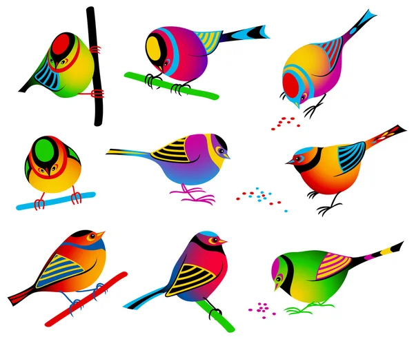 Colección de aves coloridas — Vector de stock