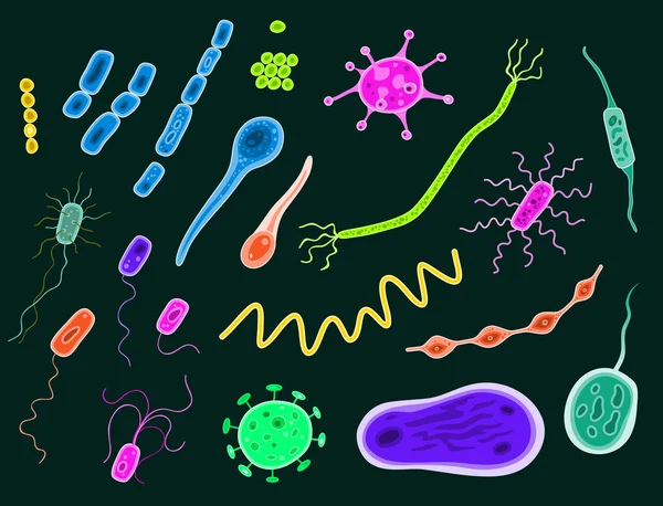 Bacterias y virus — Vector de stock