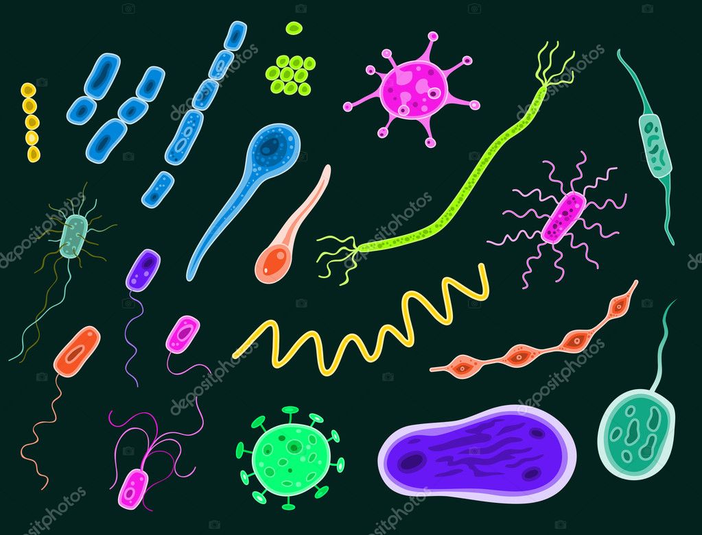 different types of bacteria drawing