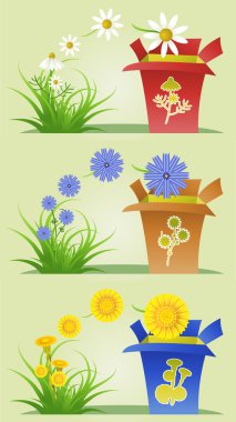 Medicinal Herbs clipart