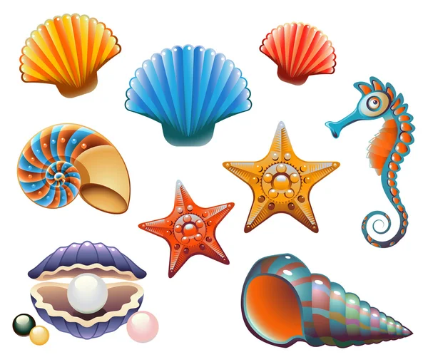Conjunto de conchas marinas — Vector de stock