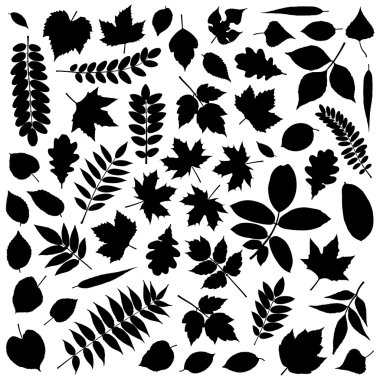 Collection of Leaf Silhouettes clipart