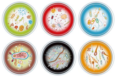Collection of Petri Dishes clipart