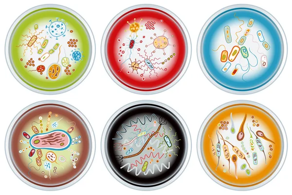 Collection of Petri Dishes — Stock Vector