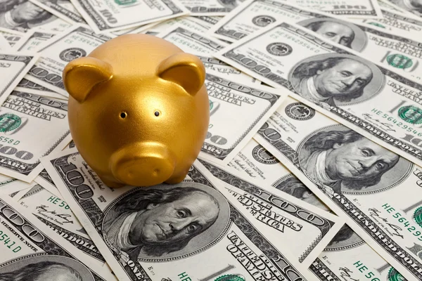 Piggy bank és száz dollár számlák — Stock Fotó