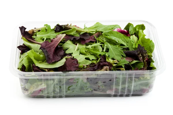 Kutu salatası — Stok fotoğraf