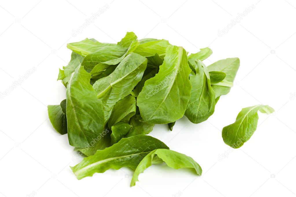 Salad spinach