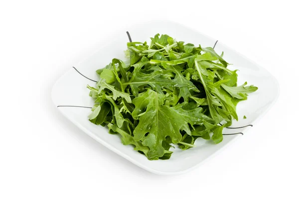Salade mizuna — Stockfoto