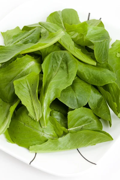 Espinafre de salada — Fotografia de Stock