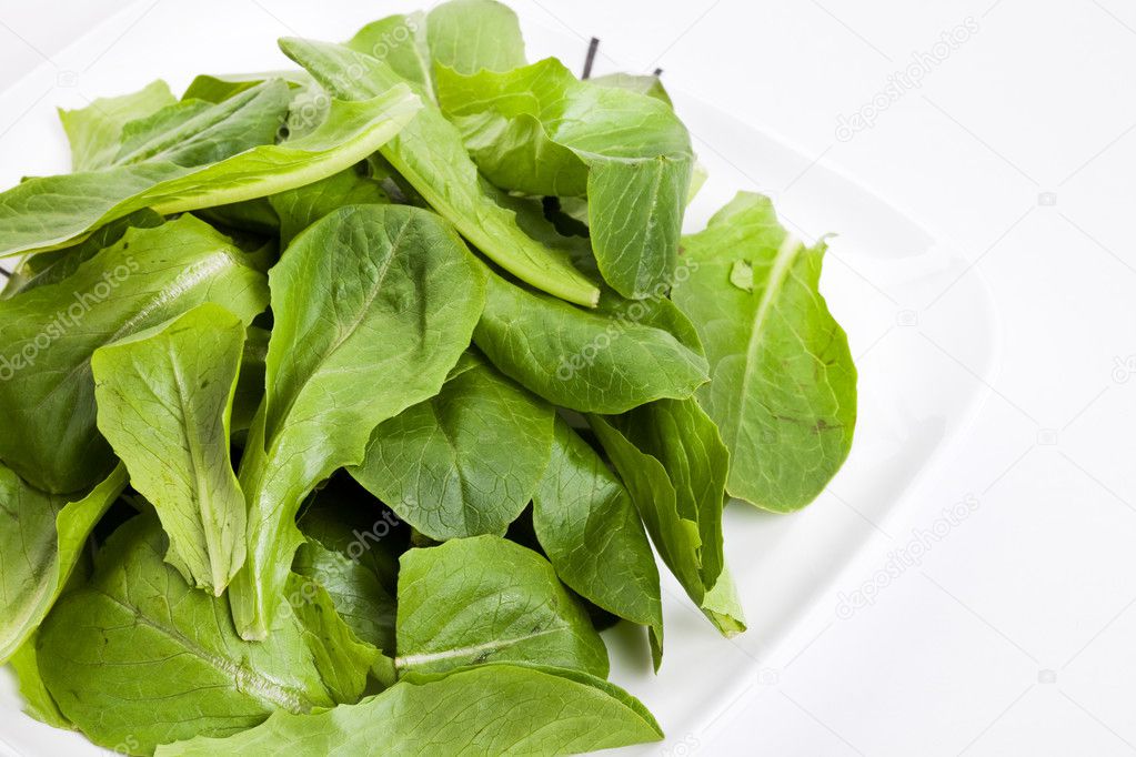 Salad Spinach
