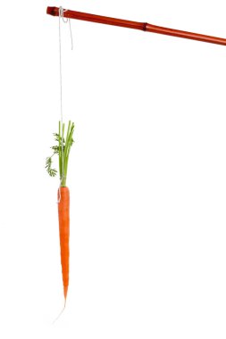 Dangling carrot clipart