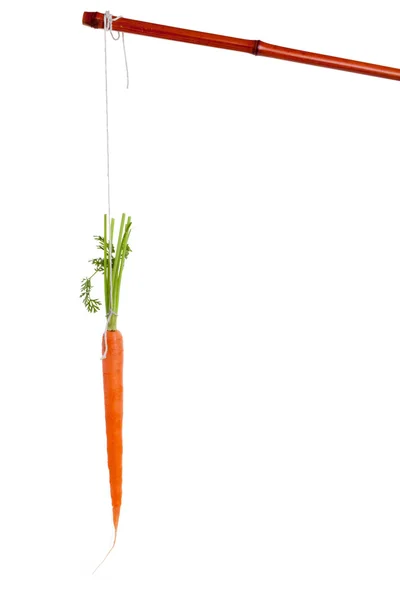 Cenoura pendente — Fotografia de Stock